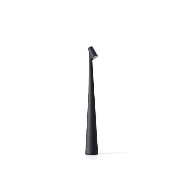 Africa Built-in Battery Table Lamp