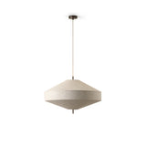 Delaney Pendant Light
