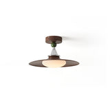 Eden Ceiling Light