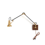 Kane Swing Plug In Wall Lamp