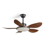 Ovlaim Ceiling Fan Light