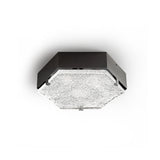 Antheron Ceiling Lamp