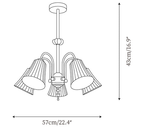 5 Testine L 22.4″ x H 16.9″ / L 57cm x H 43cm