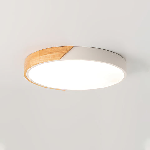 Delphi Ceiling Light – detail 6