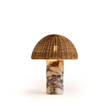 Lampada da tavolo Lance