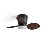 Melorie Ceiling Fan Light