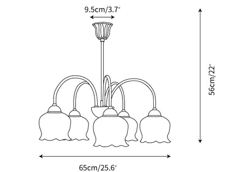 Model B 5heads L 25.6″ x H 22″