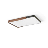 Orren Ceiling Light