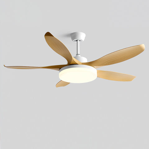 Splenda Ceiling Fan Light – detail 13