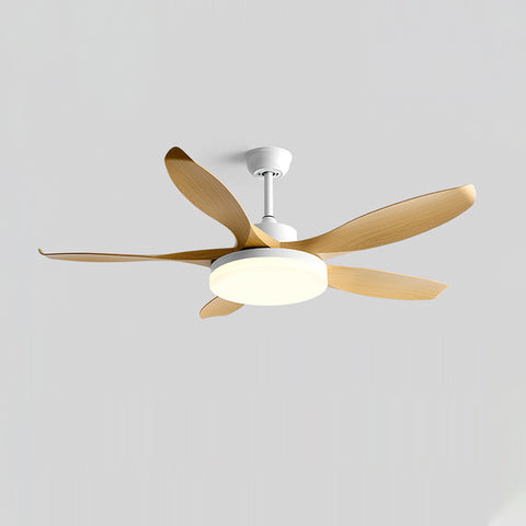 Splenda Ceiling Fan Light – detail 14
