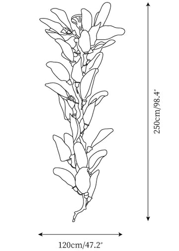 Lustre Laurel Branch — Plans de dimensions 1