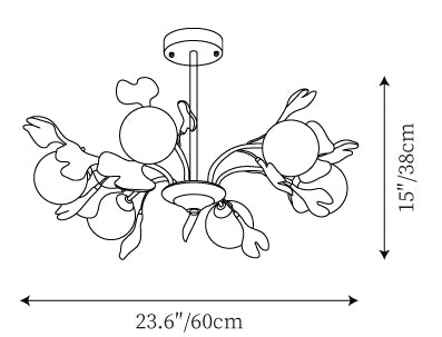 6 Teste ∅ 23,6″ x H 15″